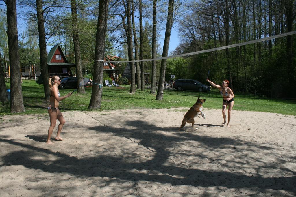 Stajnia Sarnowek Nad Jeziorem Rozany Bed and Breakfast Rozajny Wielkie Esterno foto