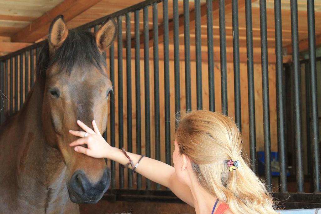 Stajnia Sarnowek Nad Jeziorem Rozany Bed and Breakfast Rozajny Wielkie Esterno foto