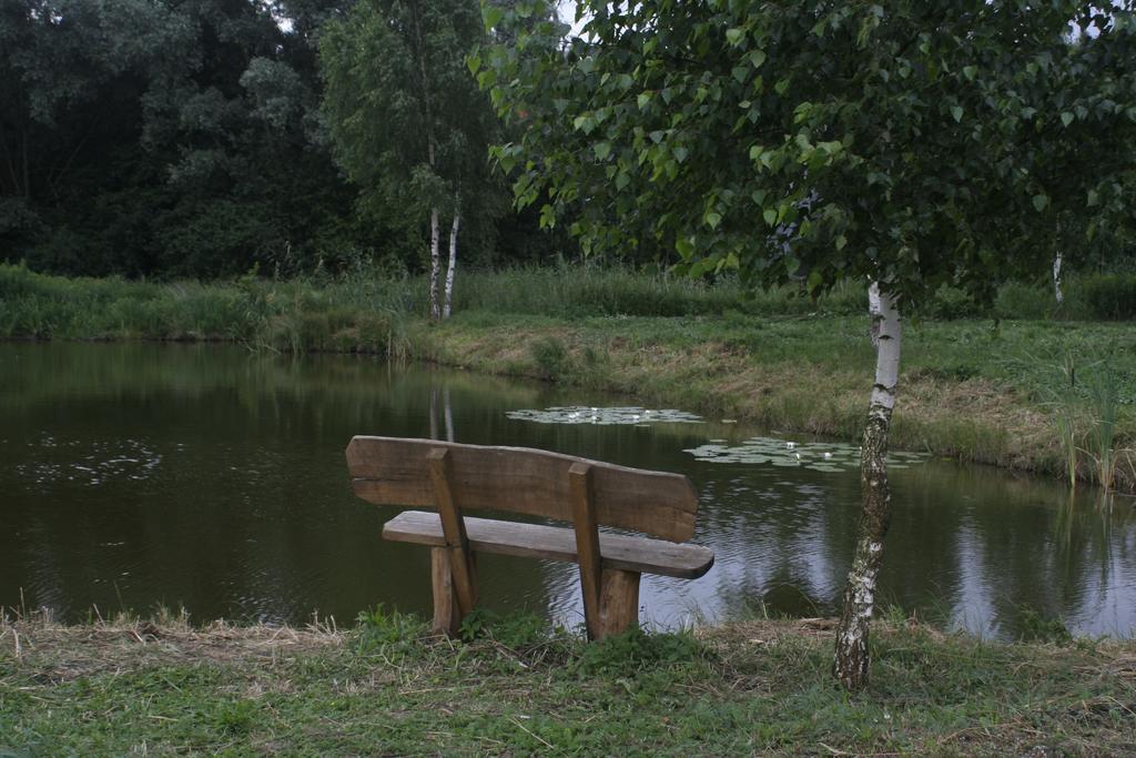 Stajnia Sarnowek Nad Jeziorem Rozany Bed and Breakfast Rozajny Wielkie Esterno foto