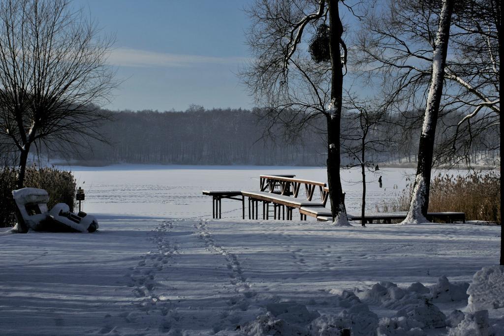 Stajnia Sarnowek Nad Jeziorem Rozany Bed and Breakfast Rozajny Wielkie Esterno foto