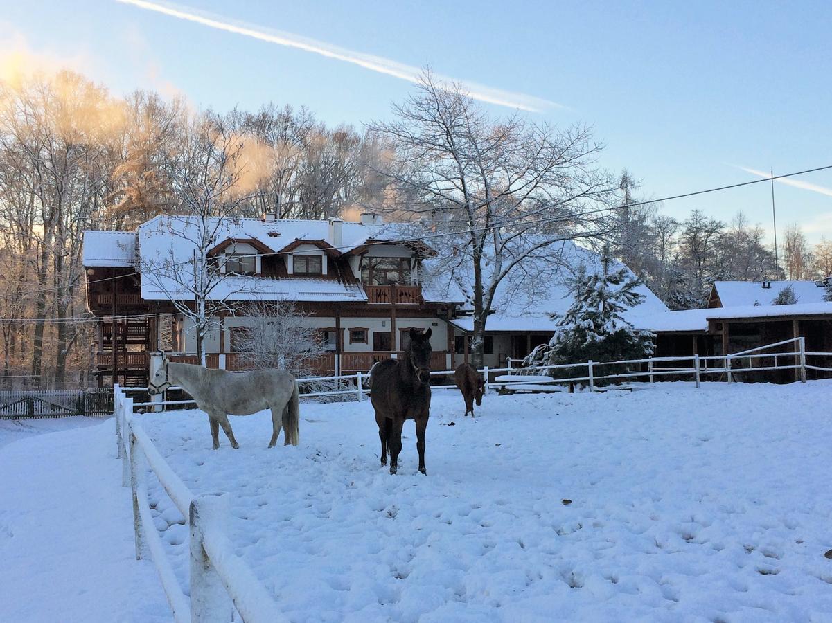 Stajnia Sarnowek Nad Jeziorem Rozany Bed and Breakfast Rozajny Wielkie Esterno foto