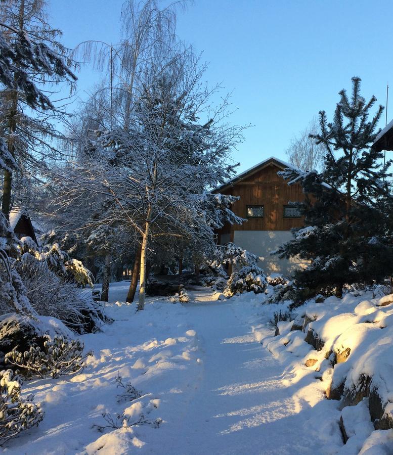 Stajnia Sarnowek Nad Jeziorem Rozany Bed and Breakfast Rozajny Wielkie Esterno foto