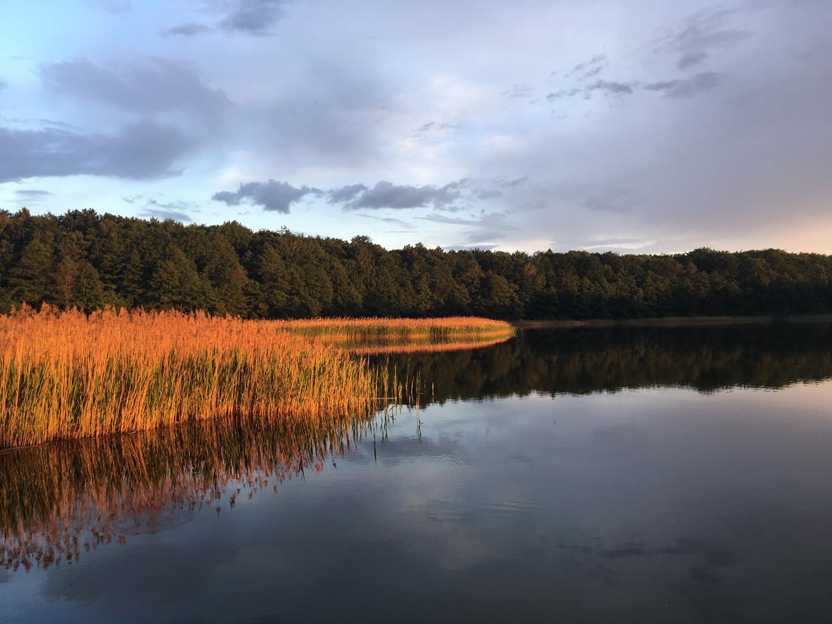 Stajnia Sarnowek Nad Jeziorem Rozany Bed and Breakfast Rozajny Wielkie Esterno foto